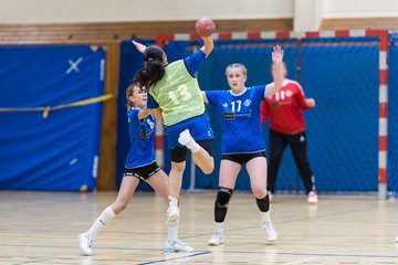 Bild 103 - wBJ TSV Ellerau - HSG Stoertal Hummeln : Ergebnis: 26:19